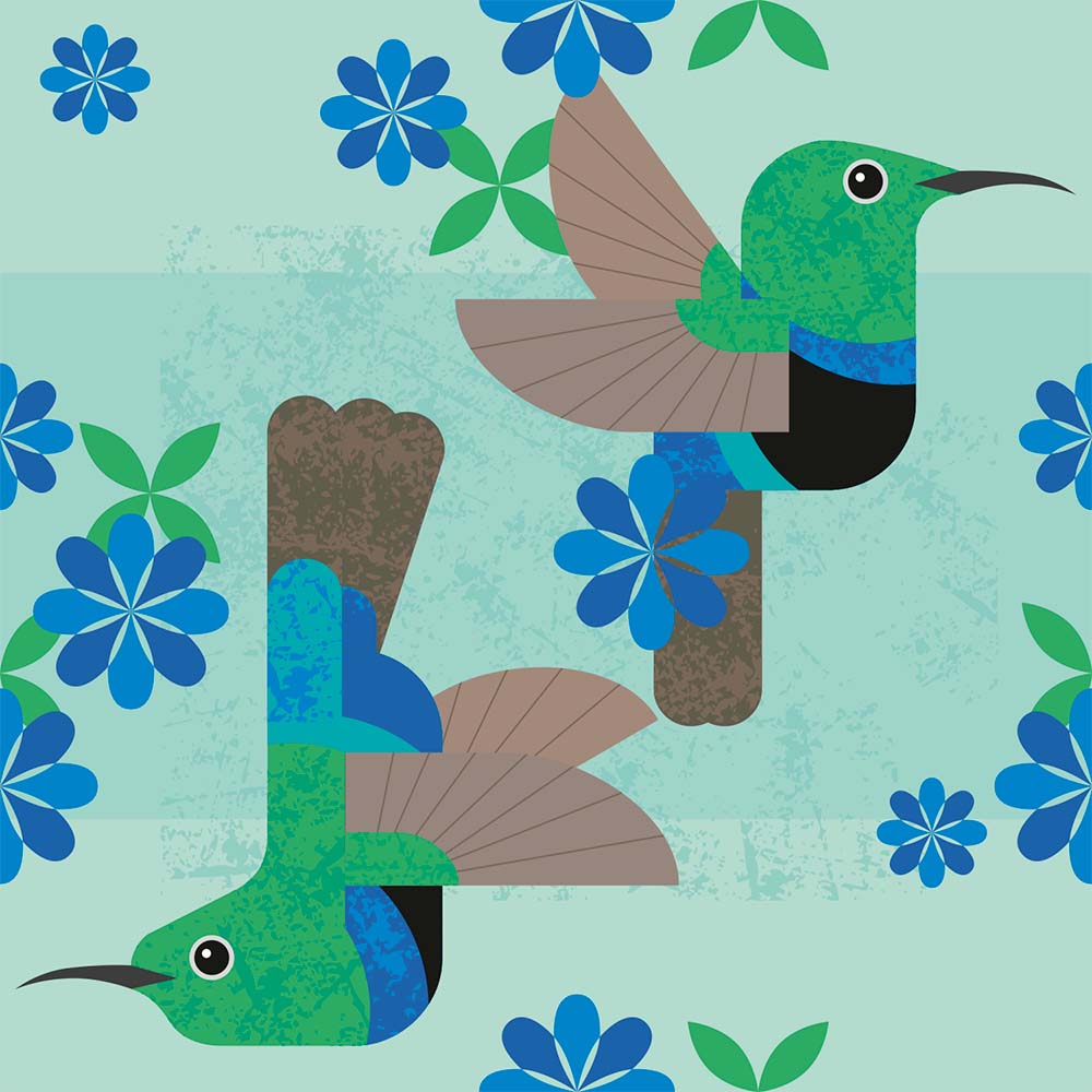 digital illustration Green-throated Carib Hummingbird Jeanne Melchels